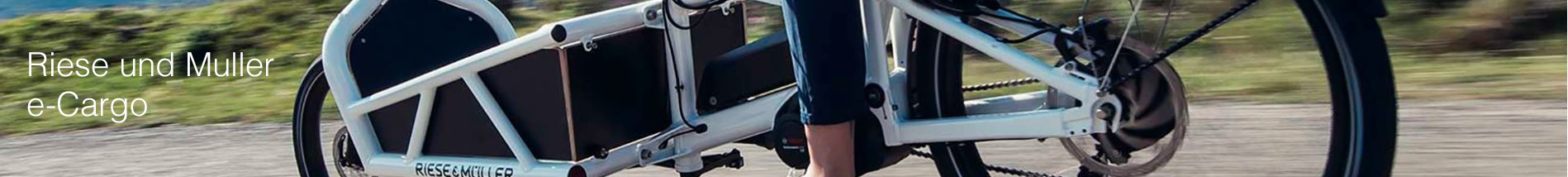 Elektrische cargofietsen Elektrische cargofietsen