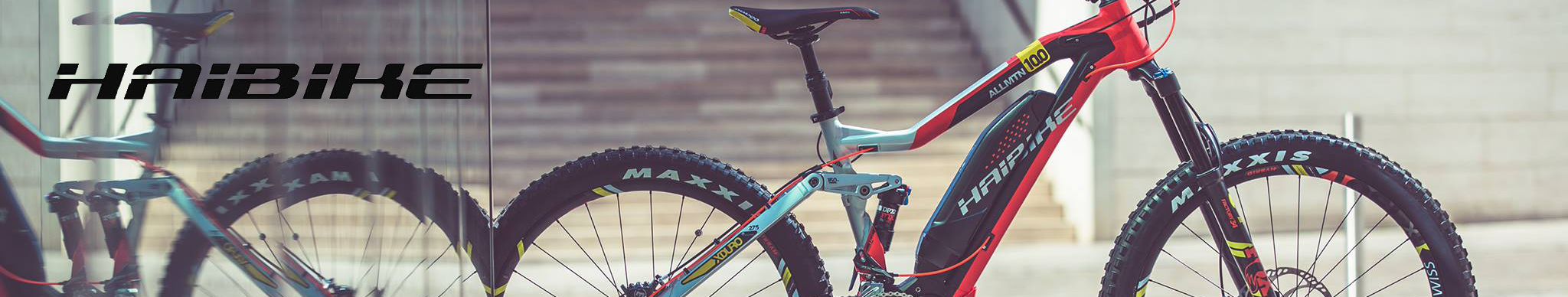 Haibike Haibike