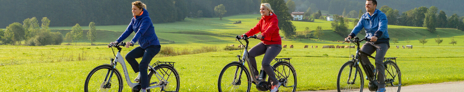 E-bikes E-bikes