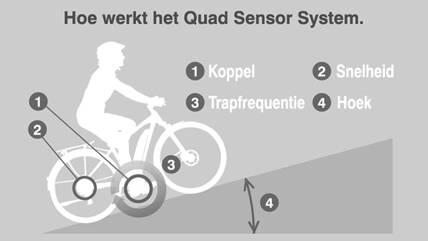 yamaha quad sensor
